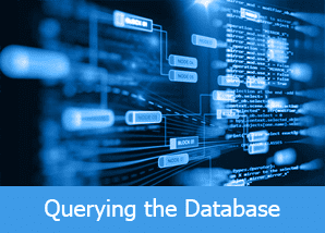 Querying the Database