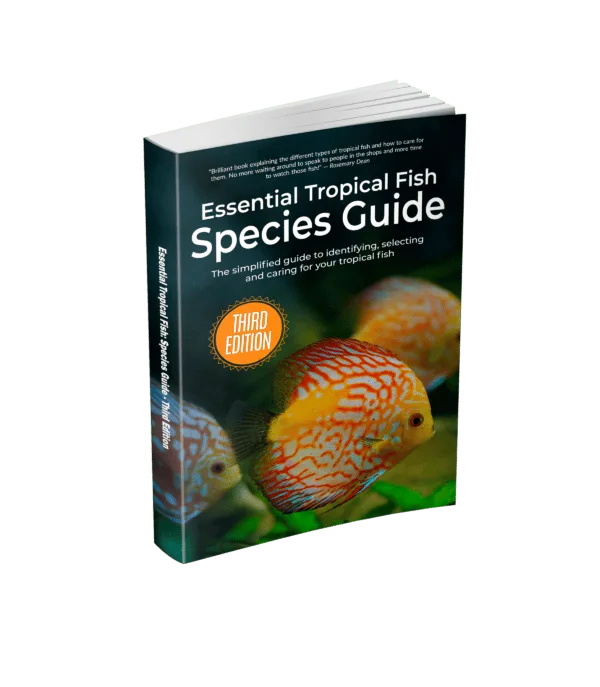 Essential Tropical Fish: Species Guide