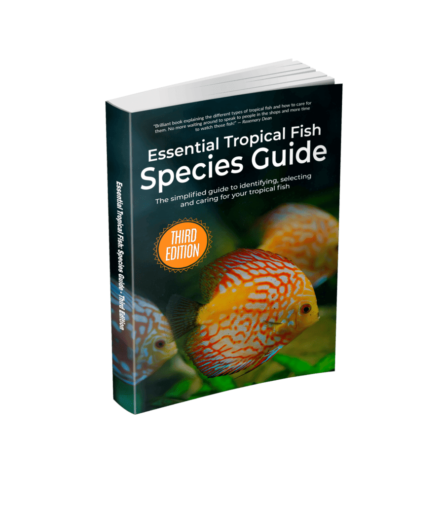 Essential Tropical Fish: Species Guide - Elluminet Press Books