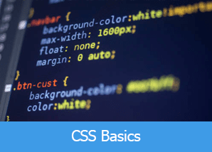 CSS Basics