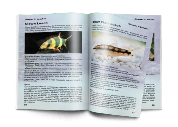 Essential Tropical Fish: Species Guide - Image 3