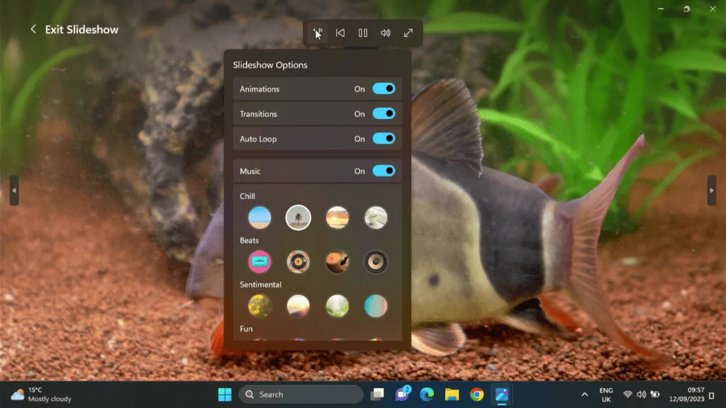 Windows 11 Photos App Slideshow options.