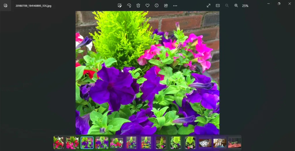 viewing a photo in the photos app on windows 11