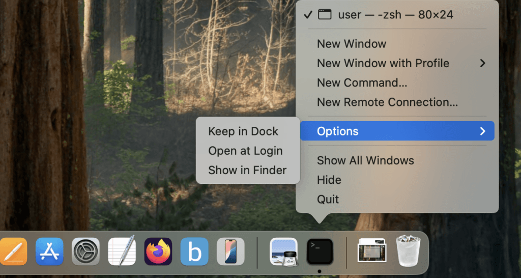 Keep icon on dock in macos