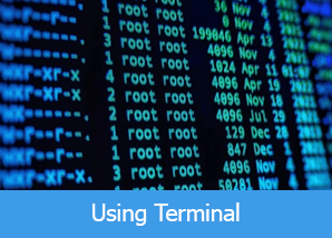 Using Linux Terminal