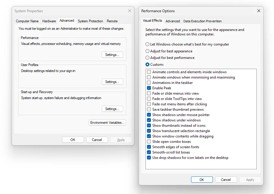 Windows 11 performance options